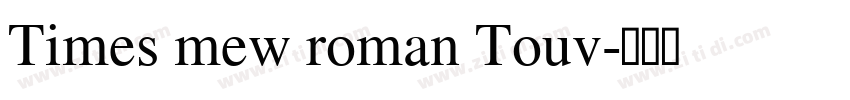Times mew roman Touv字体转换
